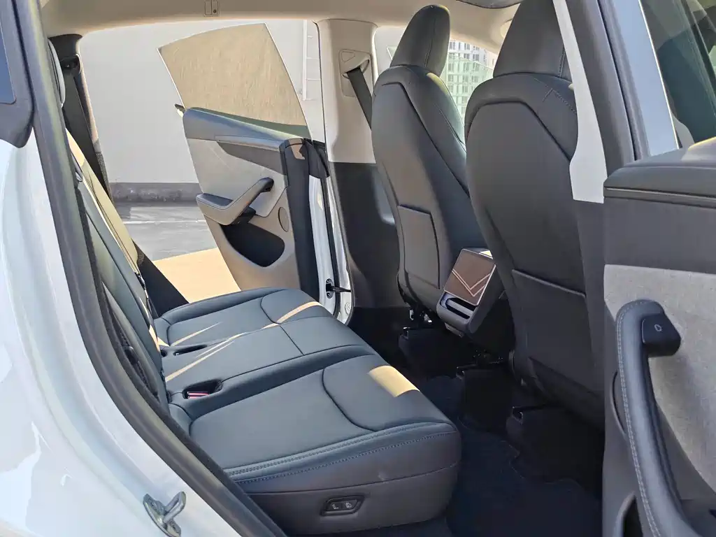 Tesla Model Y — миниатюра 11
