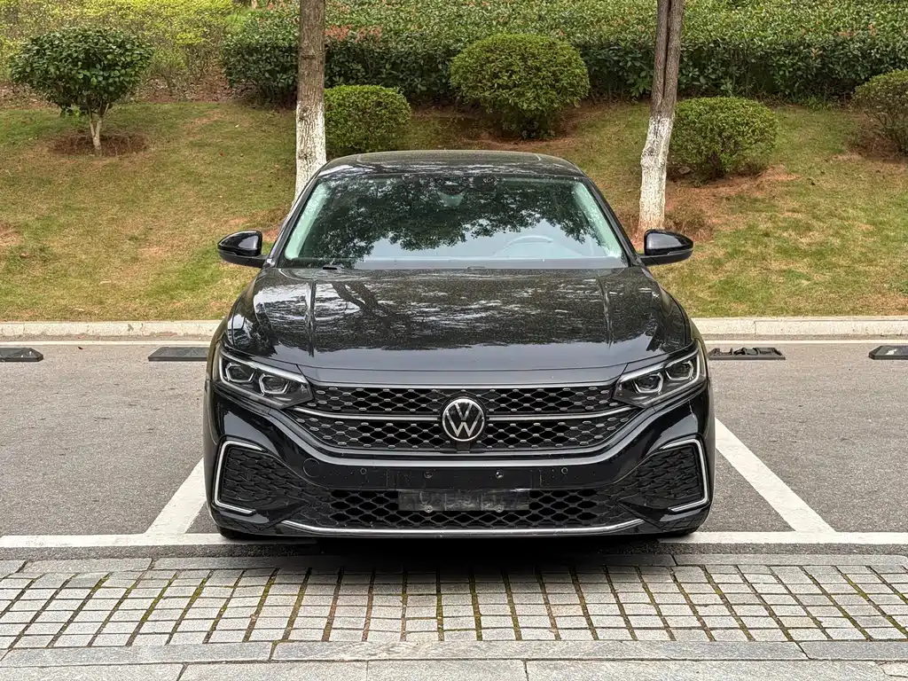 Volkswagen Passat — миниатюра 2