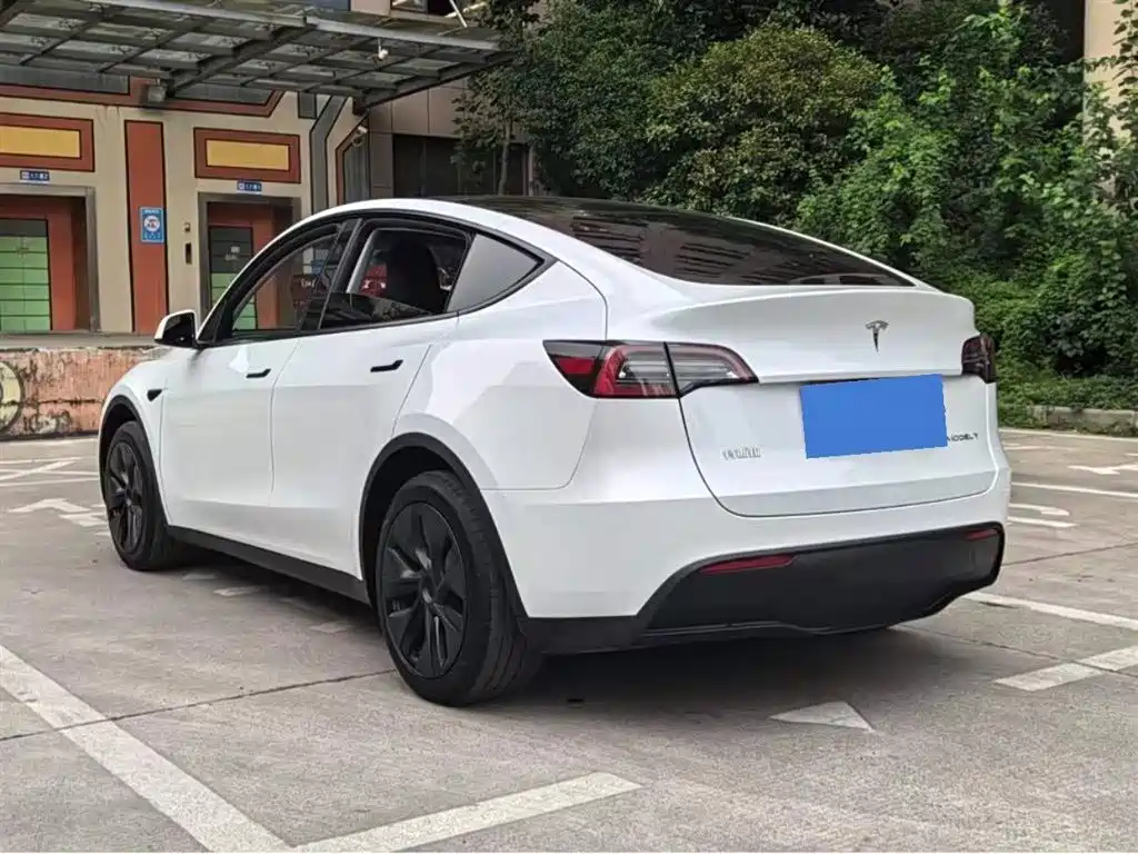 Tesla Model Y — миниатюра 6