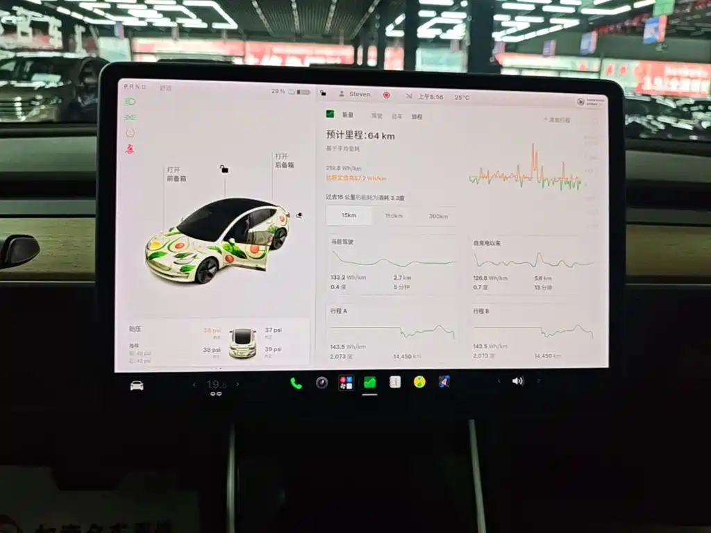 Tesla Model 3 — миниатюра 13