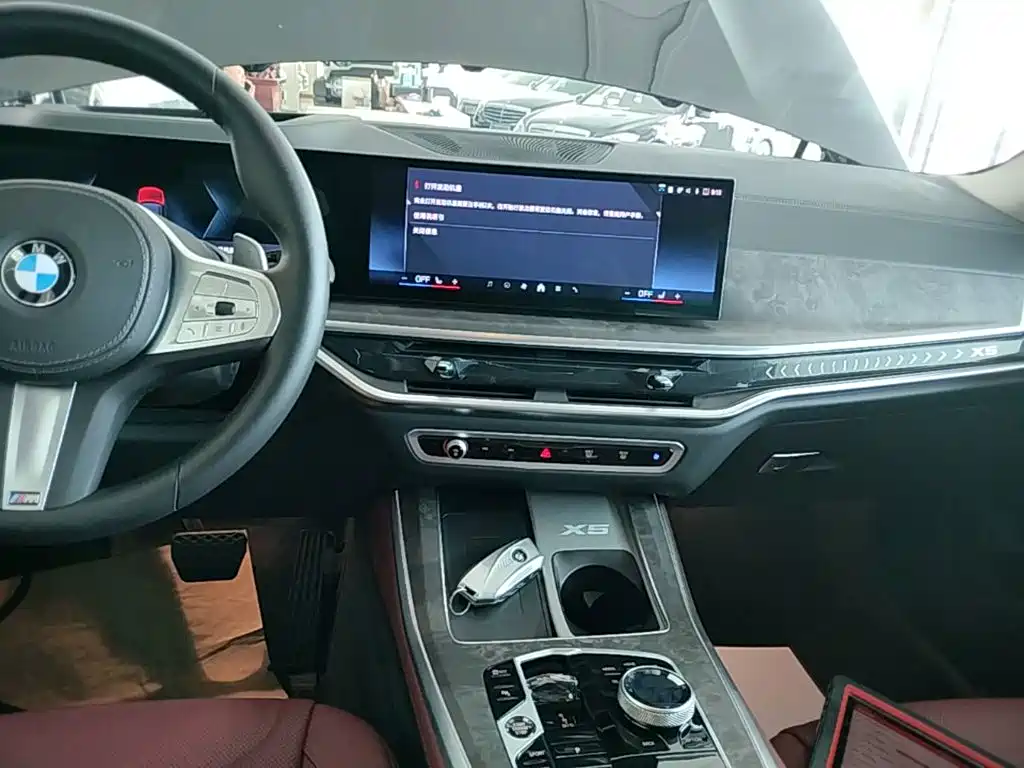 BMW X5 — миниатюра 13