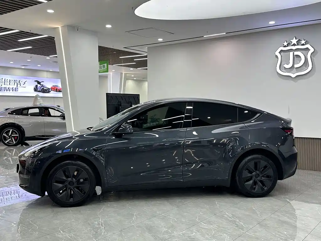 Tesla Model Y — миниатюра 4