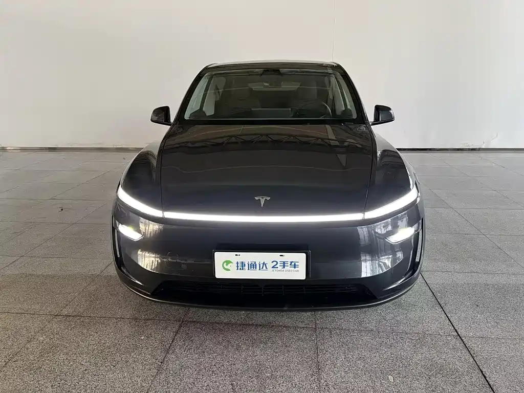 Tesla Model Y — миниатюра 20