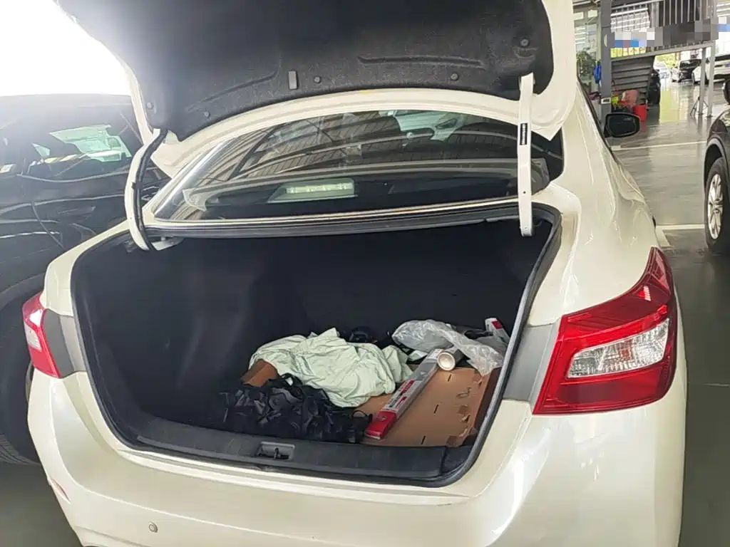 Nissan Sylphy EV — миниатюра 19