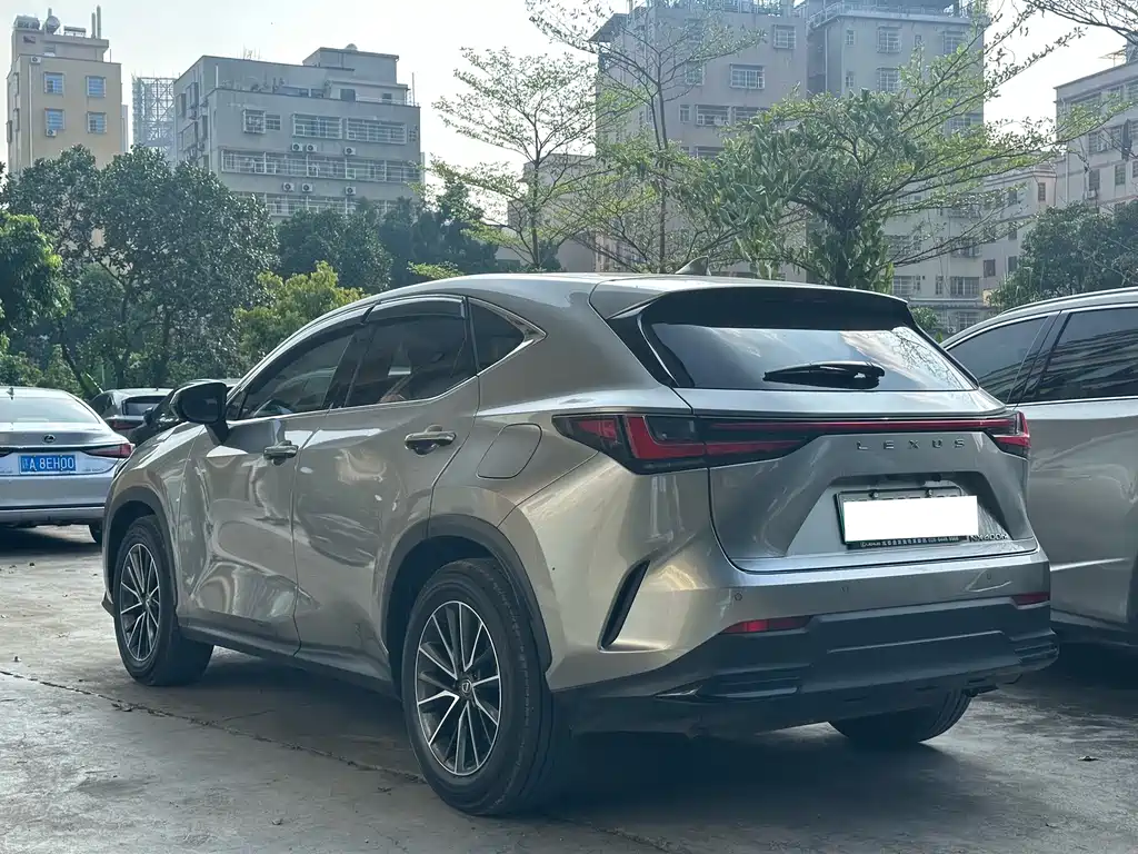 Lexus NX PHEV 2024 — фото 9