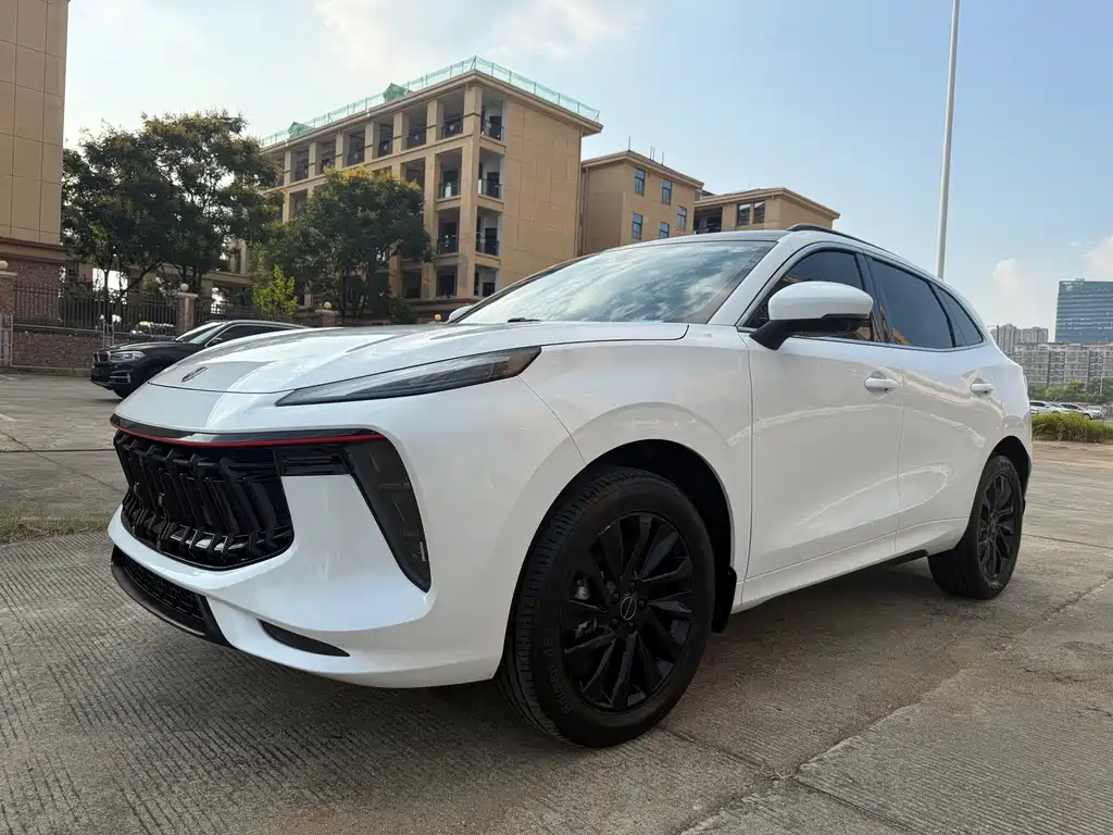 Fengxing Fengxing T5 EVO — миниатюра 21