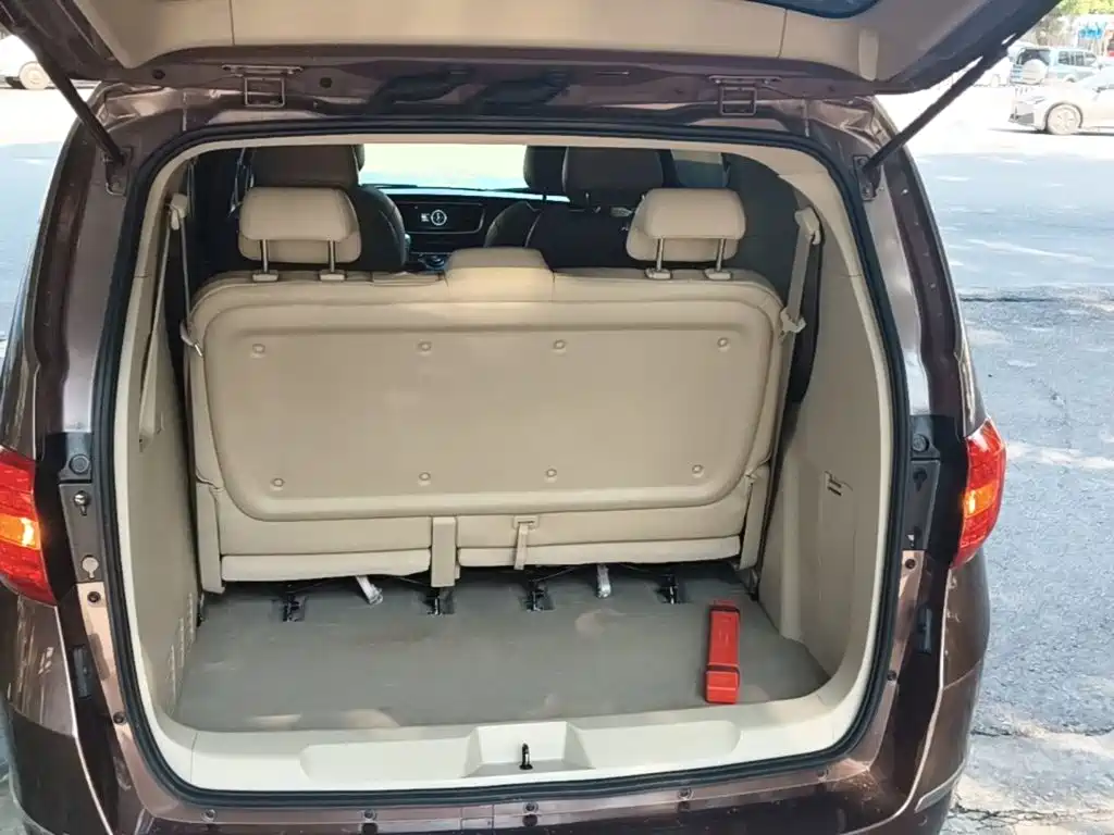 Buick GL8 — миниатюра 19