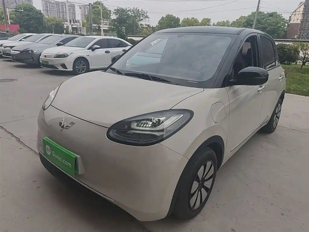 Wuling Bingo 2024