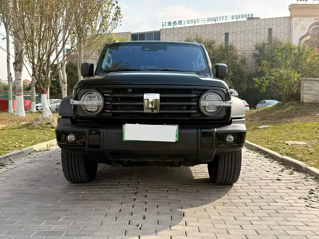 TANK TANK 300 NEW ENERGY