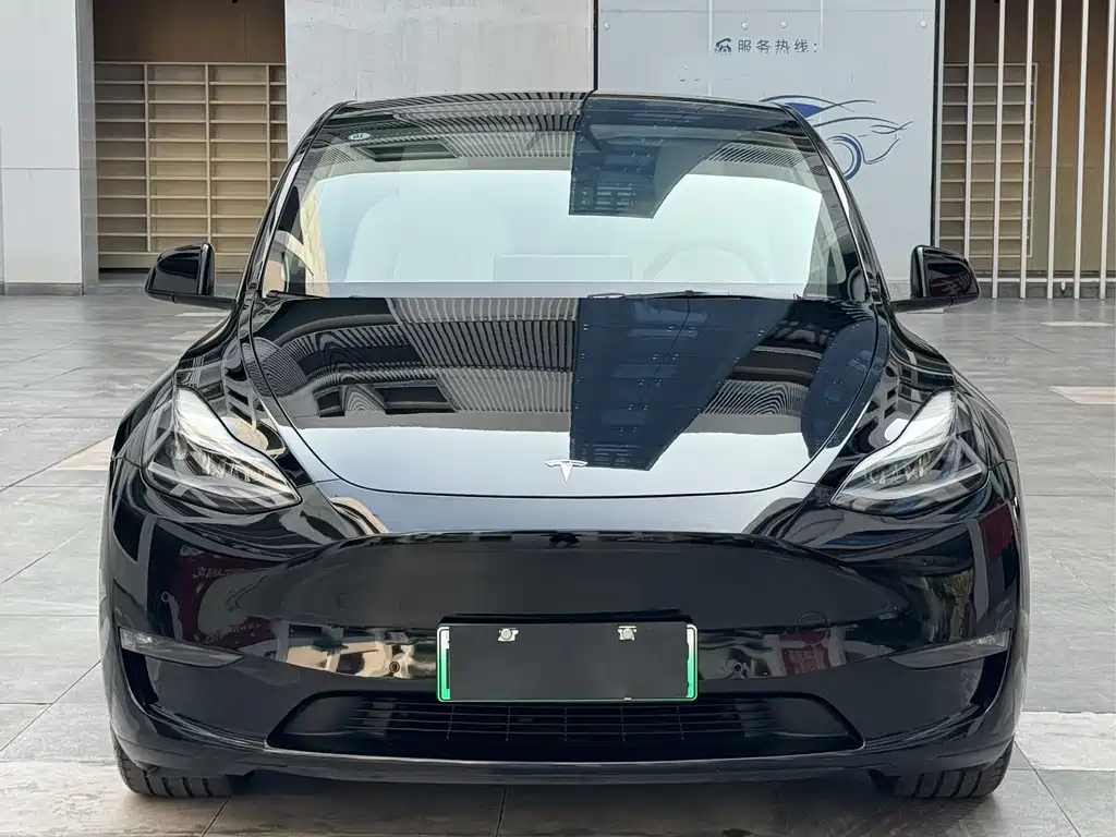 Tesla Model Y — миниатюра 2
