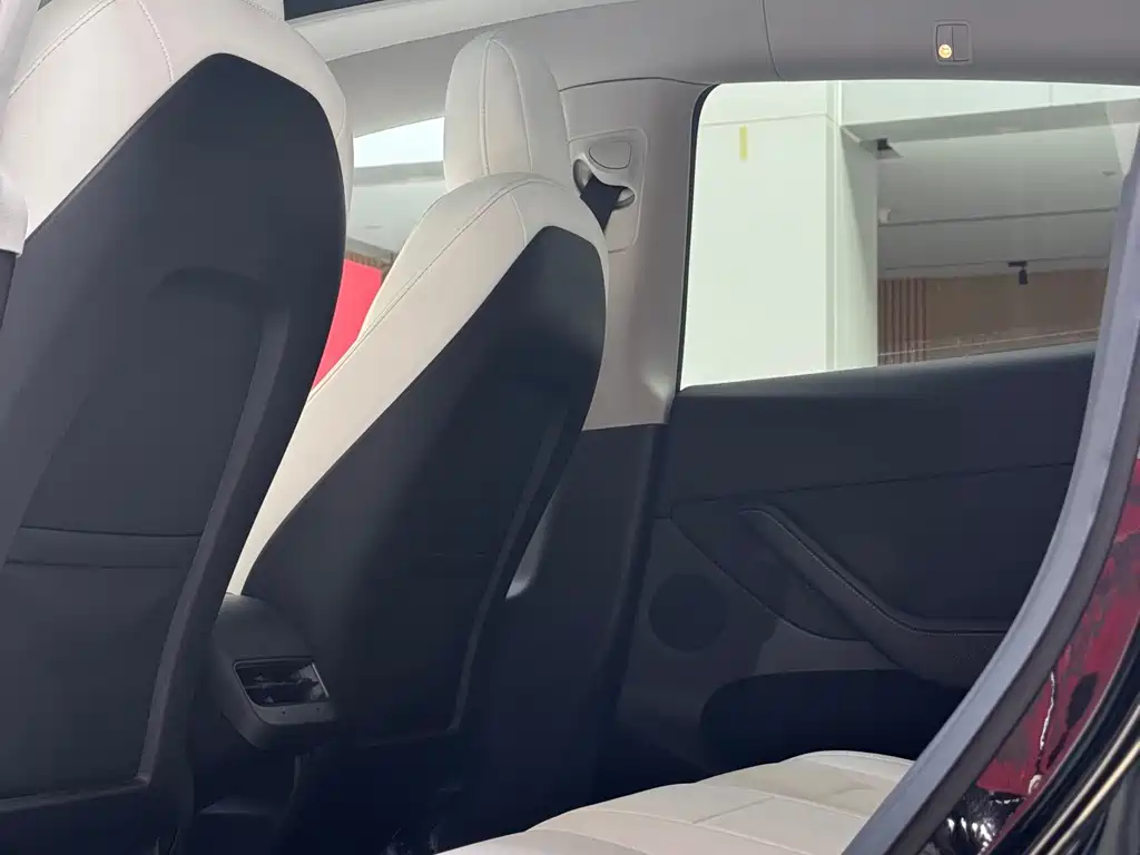 Tesla Model Y — миниатюра 11