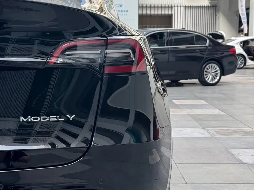 Tesla Model Y — миниатюра 15