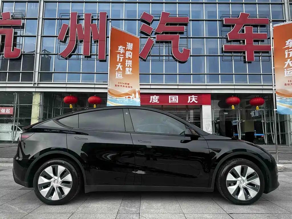Tesla Model Y — миниатюра 5