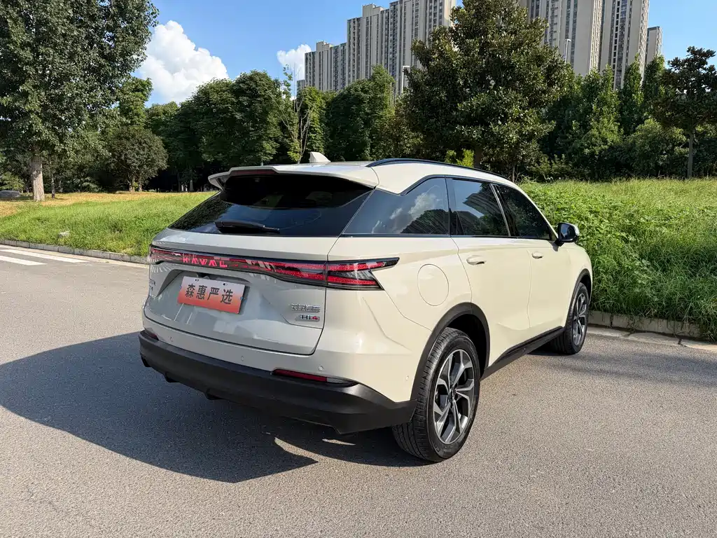 Haval Xiaolong MAX — миниатюра 15