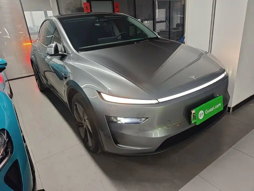 Tesla Model Y — миниатюра 4