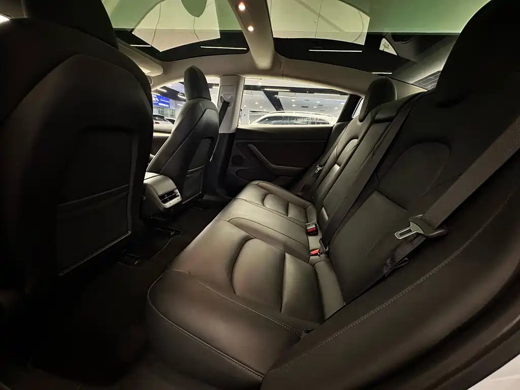 Tesla Model 3 — миниатюра 12