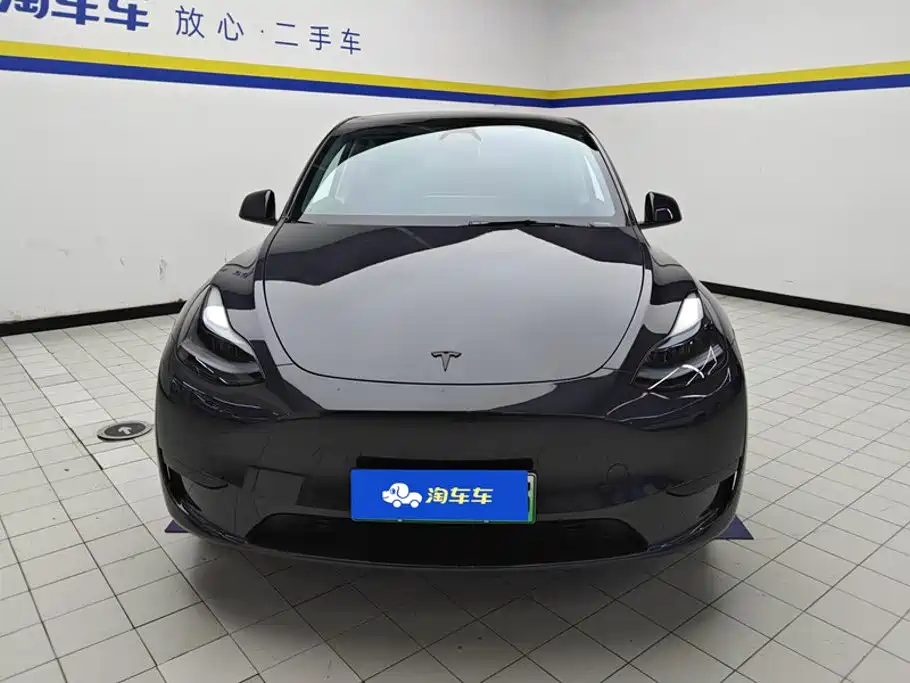 Tesla Model Y — миниатюра 2