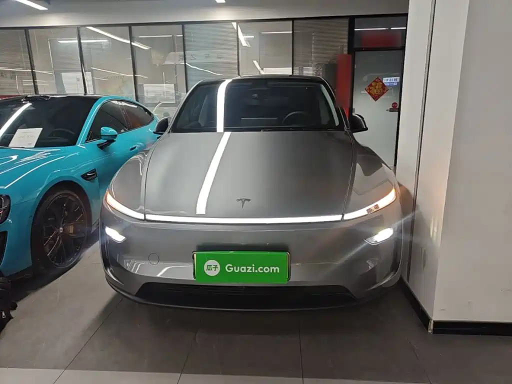 Tesla Model Y — миниатюра 3
