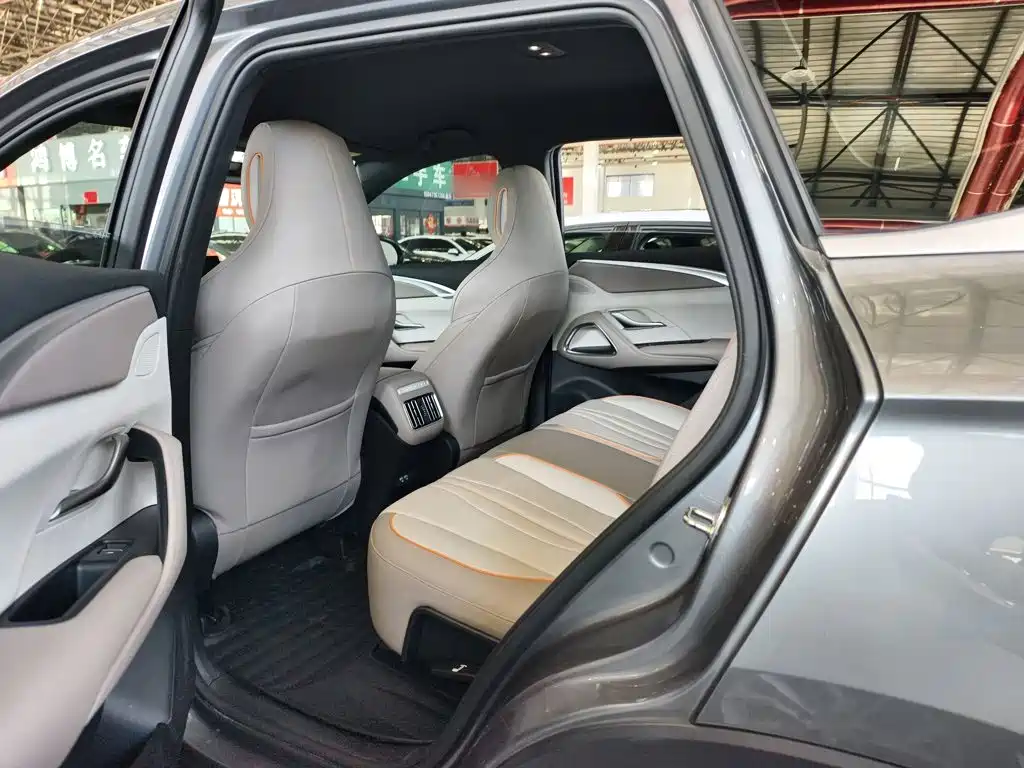 BYD Pro New Energy — миниатюра 18