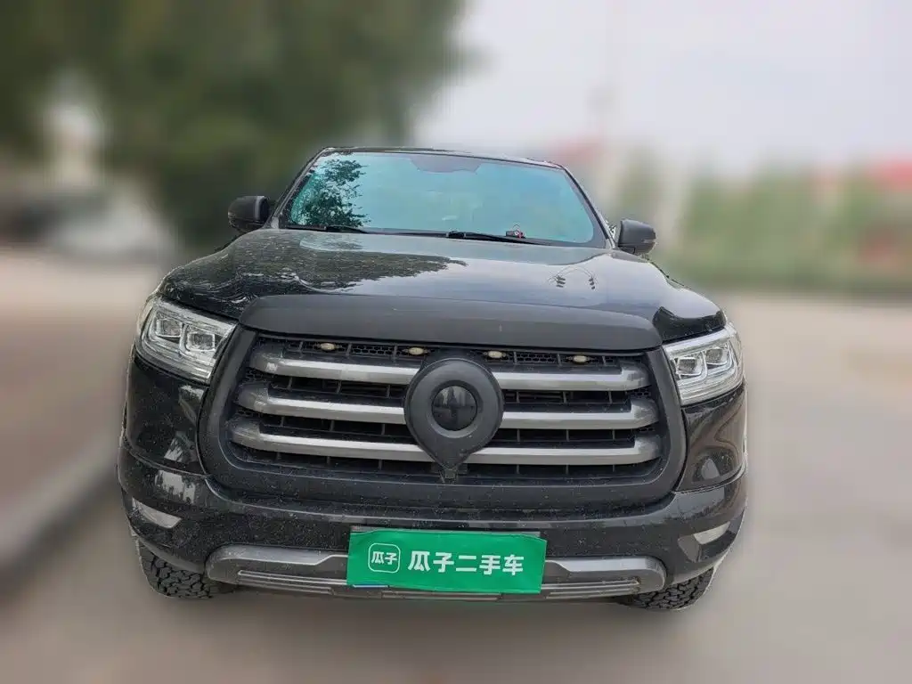 Great Wall Pao — миниатюра 23