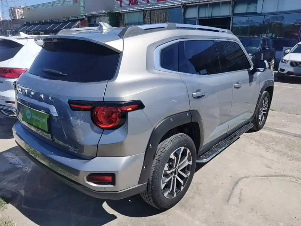 Haval Big Dog PLUS — миниатюра 7