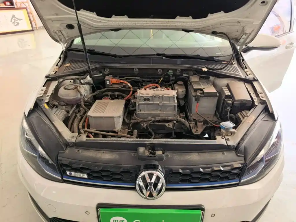 Volkswagen Golf New Energy (Import) — миниатюра 20
