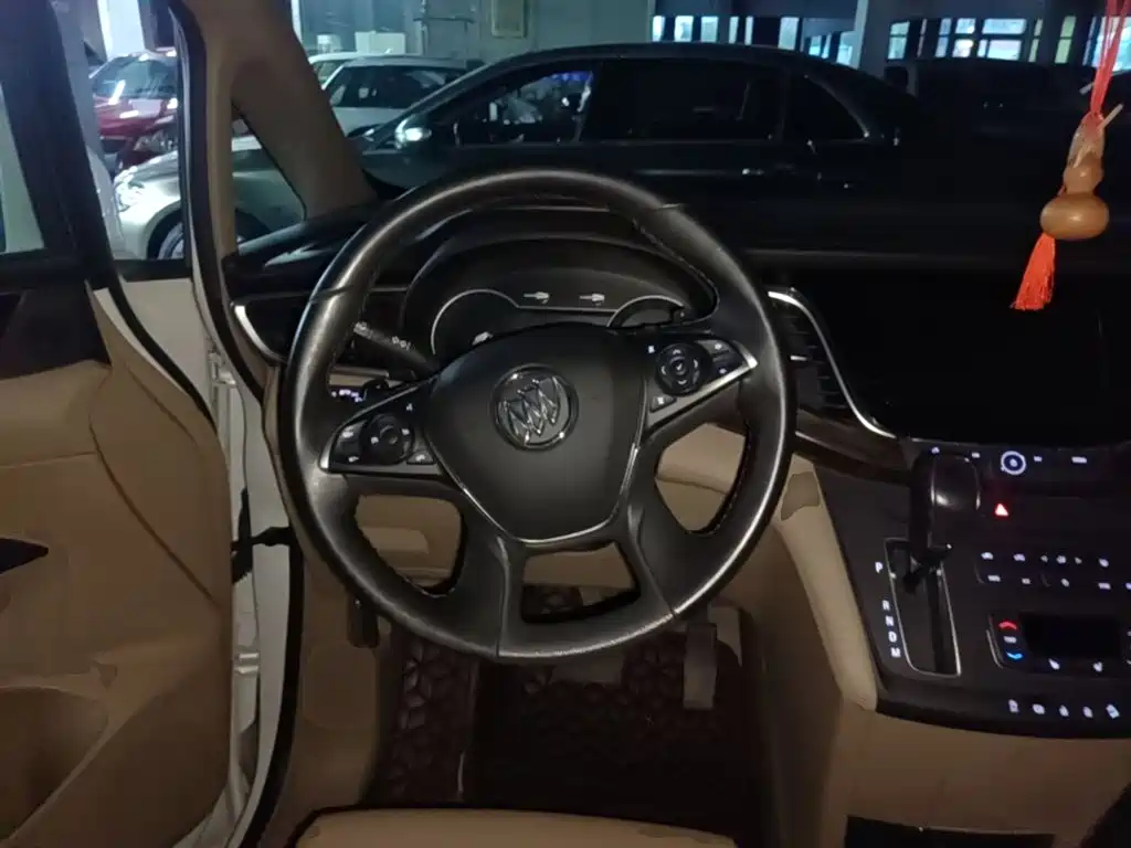 Buick GL8 — миниатюра 11