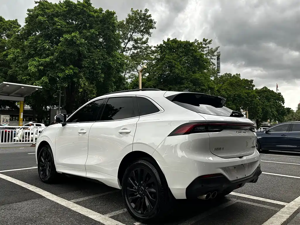 Fengxing Fengxing T5 EVO — миниатюра 4
