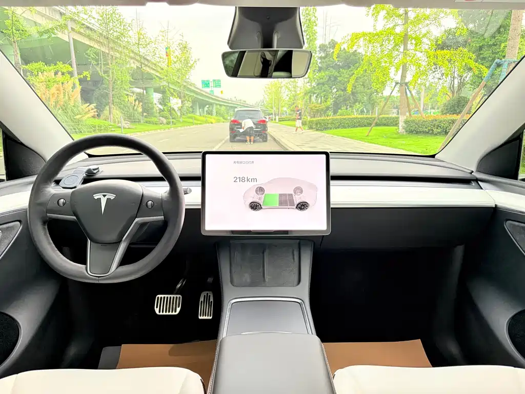 Tesla Model Y — миниатюра 10