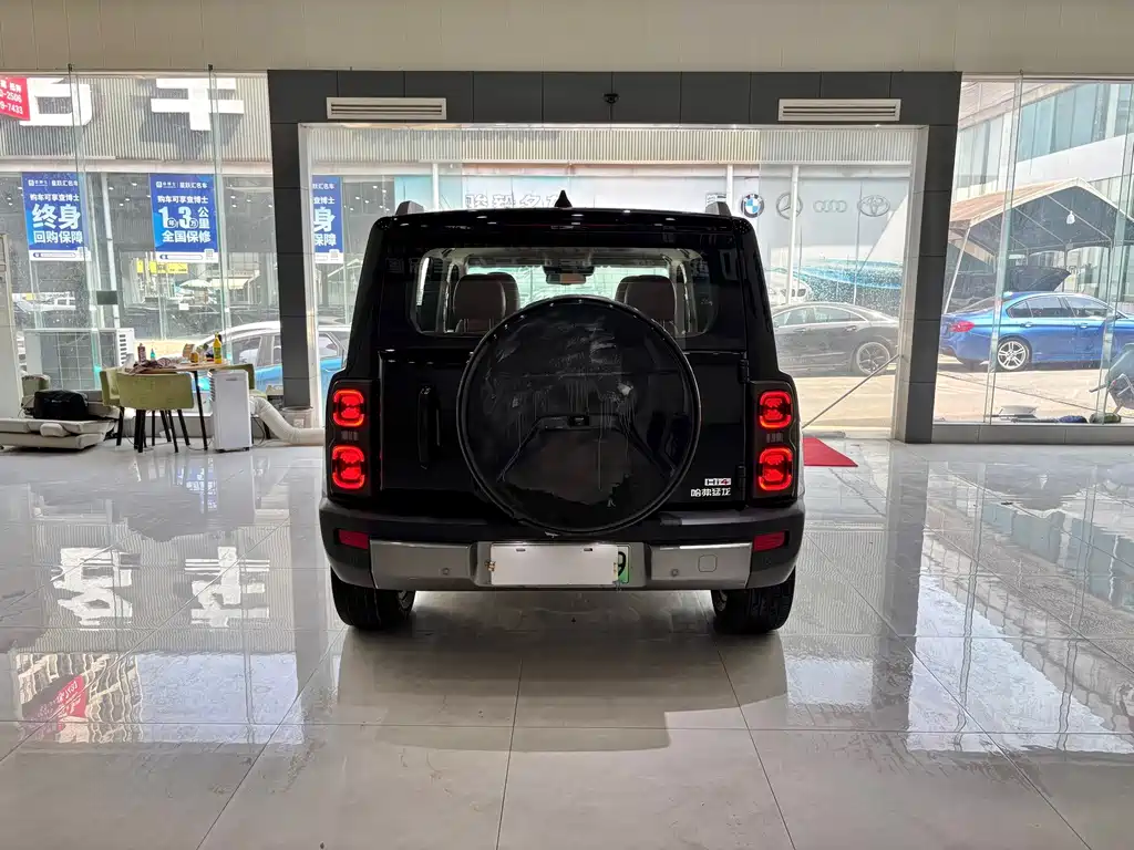 Haval Menglong New Energy — миниатюра 5