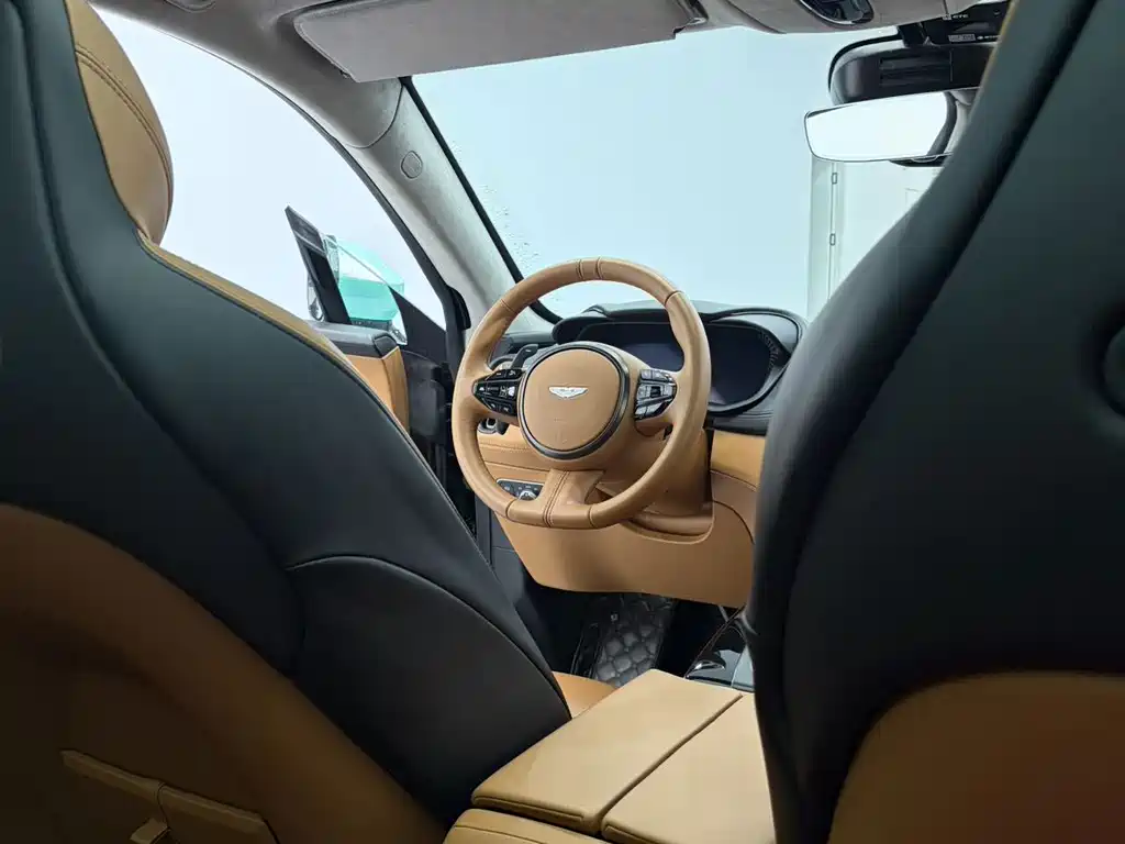 Aston Martin DBX — миниатюра 22