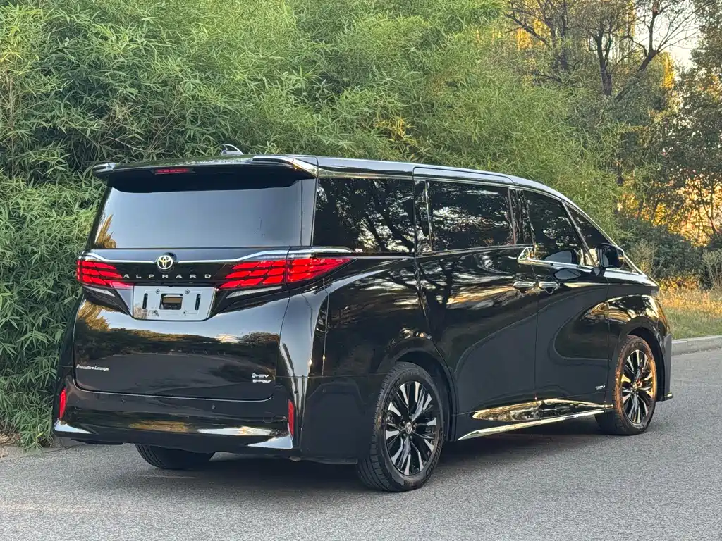 Toyota Alphard 2024 — фото 17