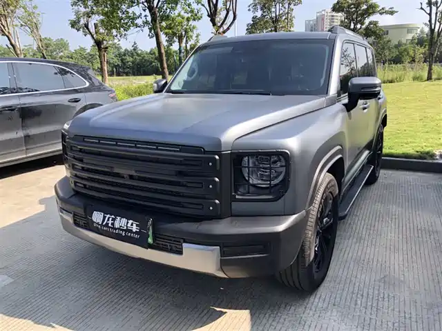 HAVAL  RAPTORS NEW ENERGY 2025