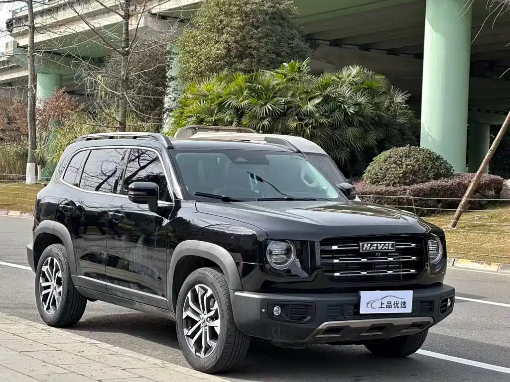 HAVAL BIG DOG