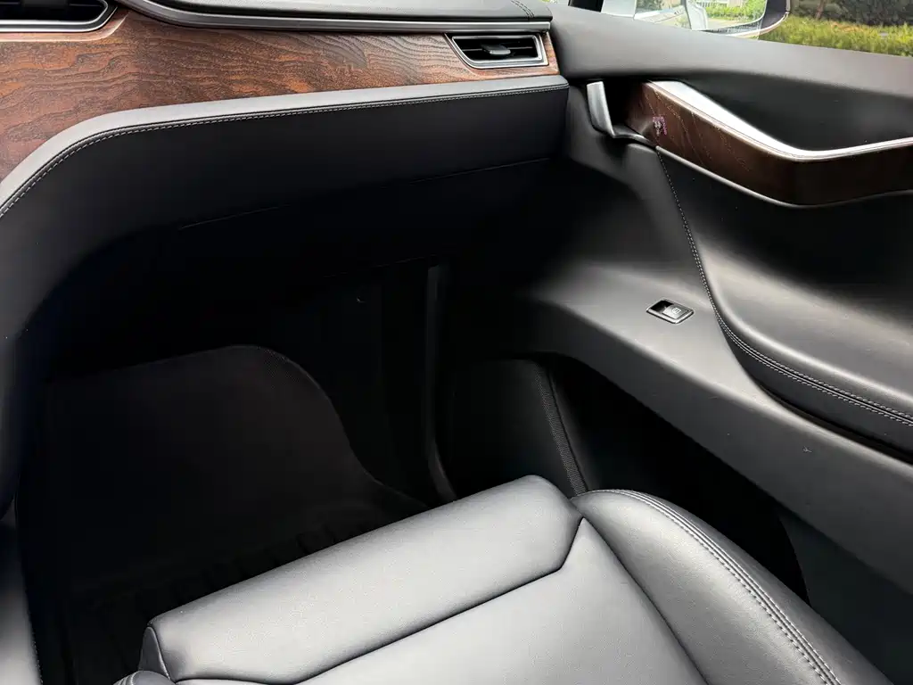 Tesla Model X — миниатюра 10