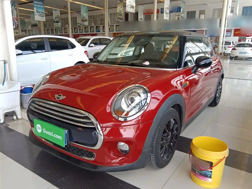 Mini Mini 2017