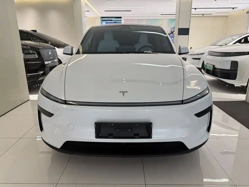Tesla Model Y — миниатюра 2