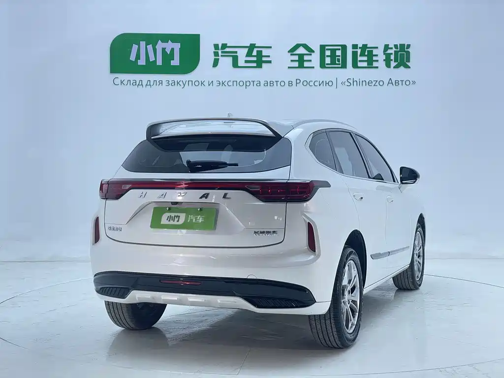 Haval Chitu — миниатюра 5