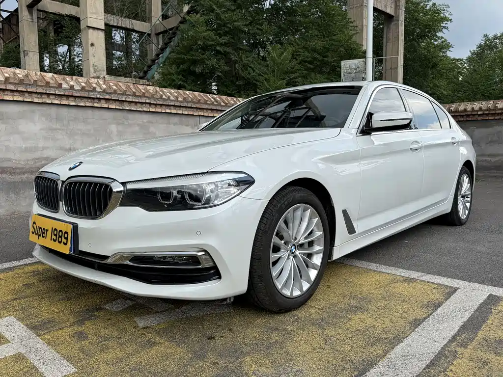 BMW 5 Series 2019 530Li Leading Type Luxury Package