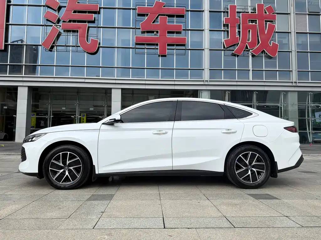BYD QIN L