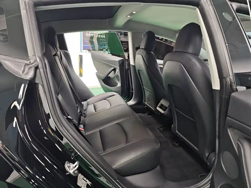 Tesla Model 3 — миниатюра 6