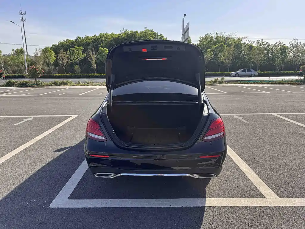 Mercedes-Benz E-Class E 2019 E 300 L Sport Fashion