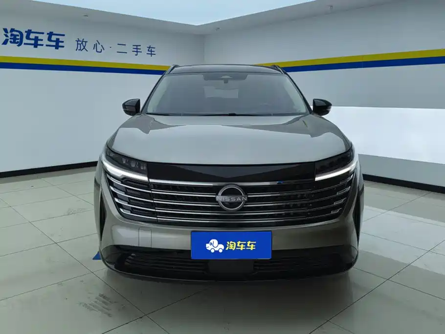 Nissan Teramont — миниатюра 2