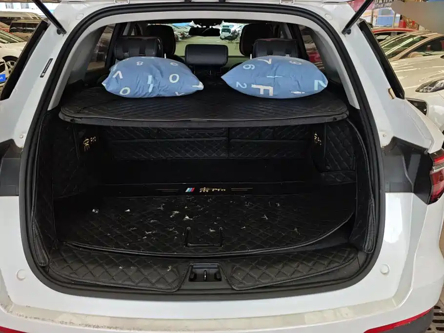 BYD Pro — миниатюра 4