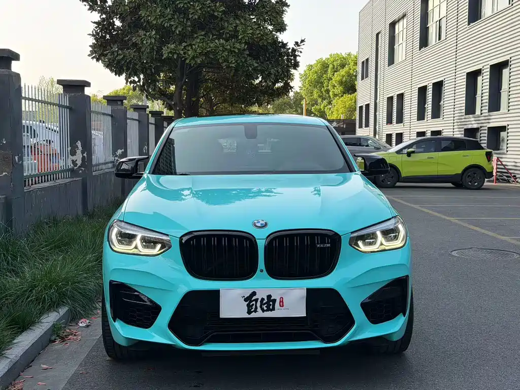 BMW X4 M X4 M Thunder Edition, фото 2
