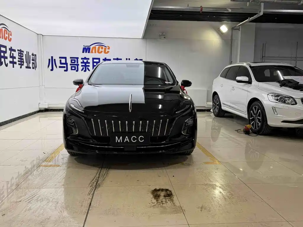 Hongqi HONGQI E QM5