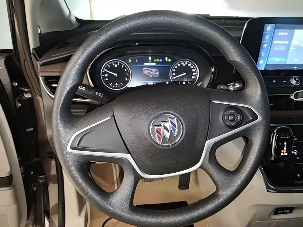 Buick GL8 — миниатюра 11
