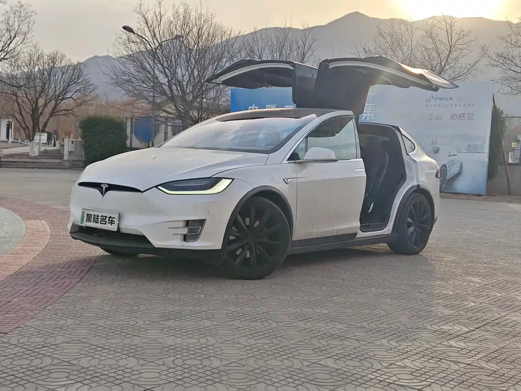 TESLA MODEL X