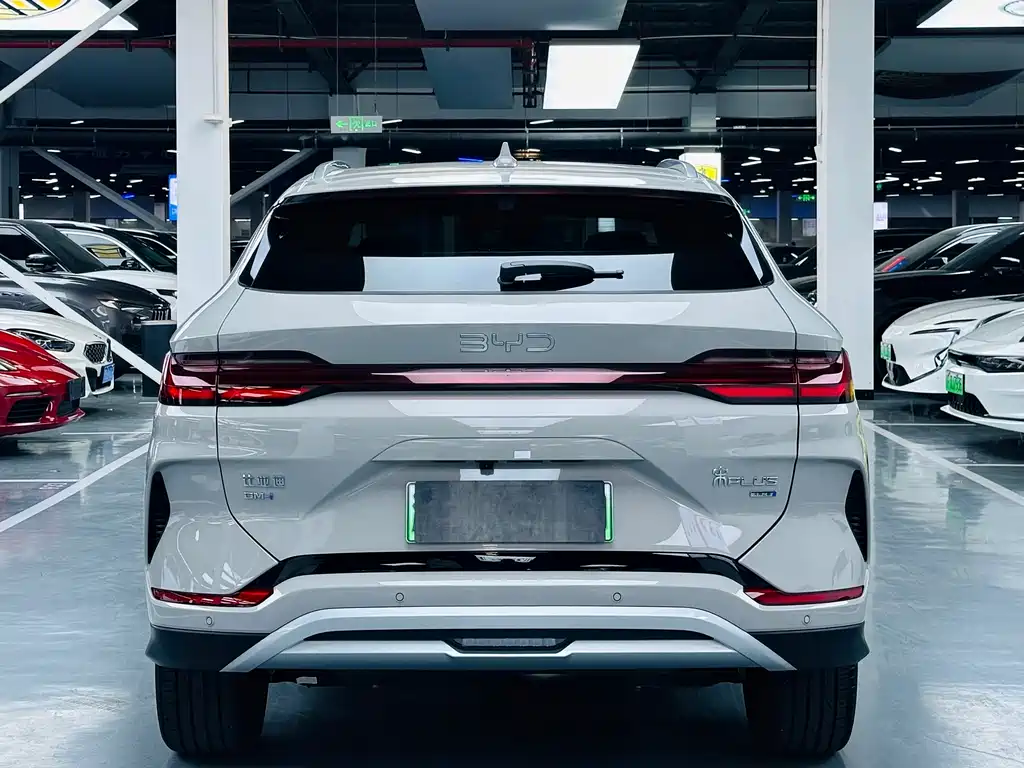 BYD SONGJIANG NEW ENERGY