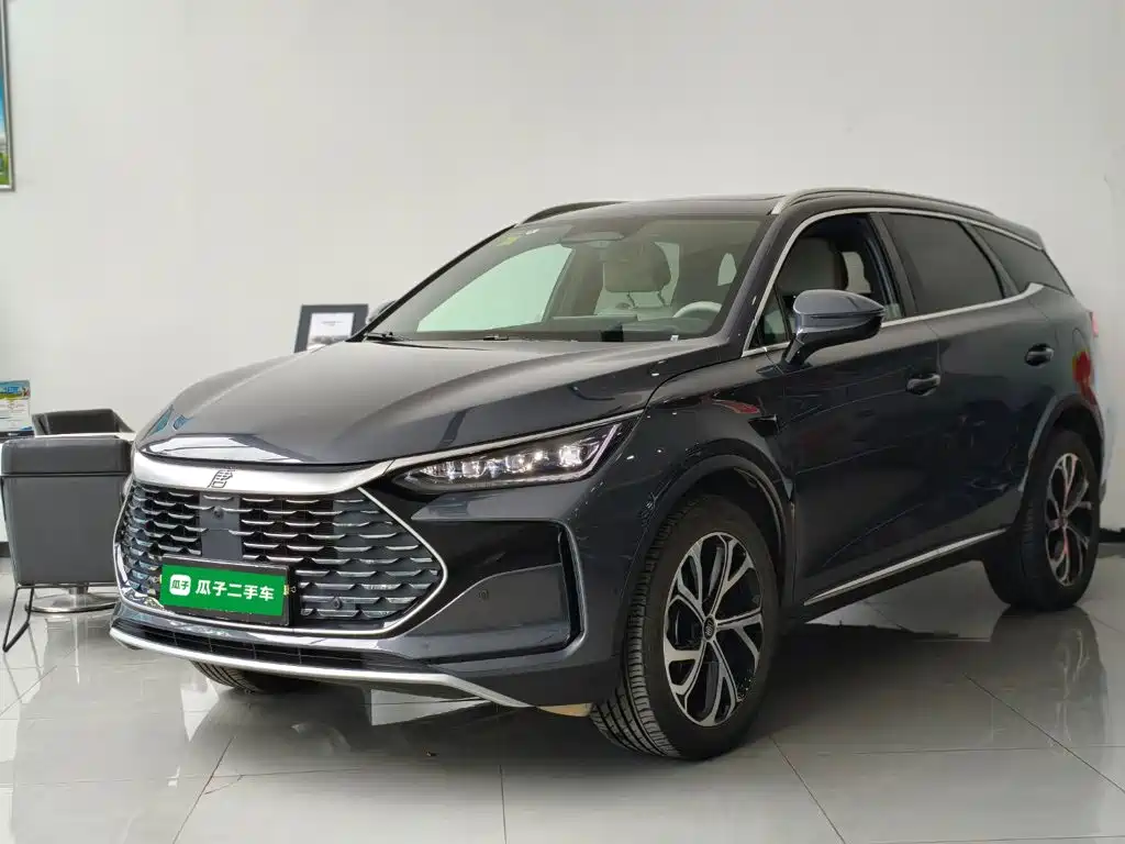 BYD Tang New Energy 2025 Smart Drive Edition DM-i 115KM Flagship Type
